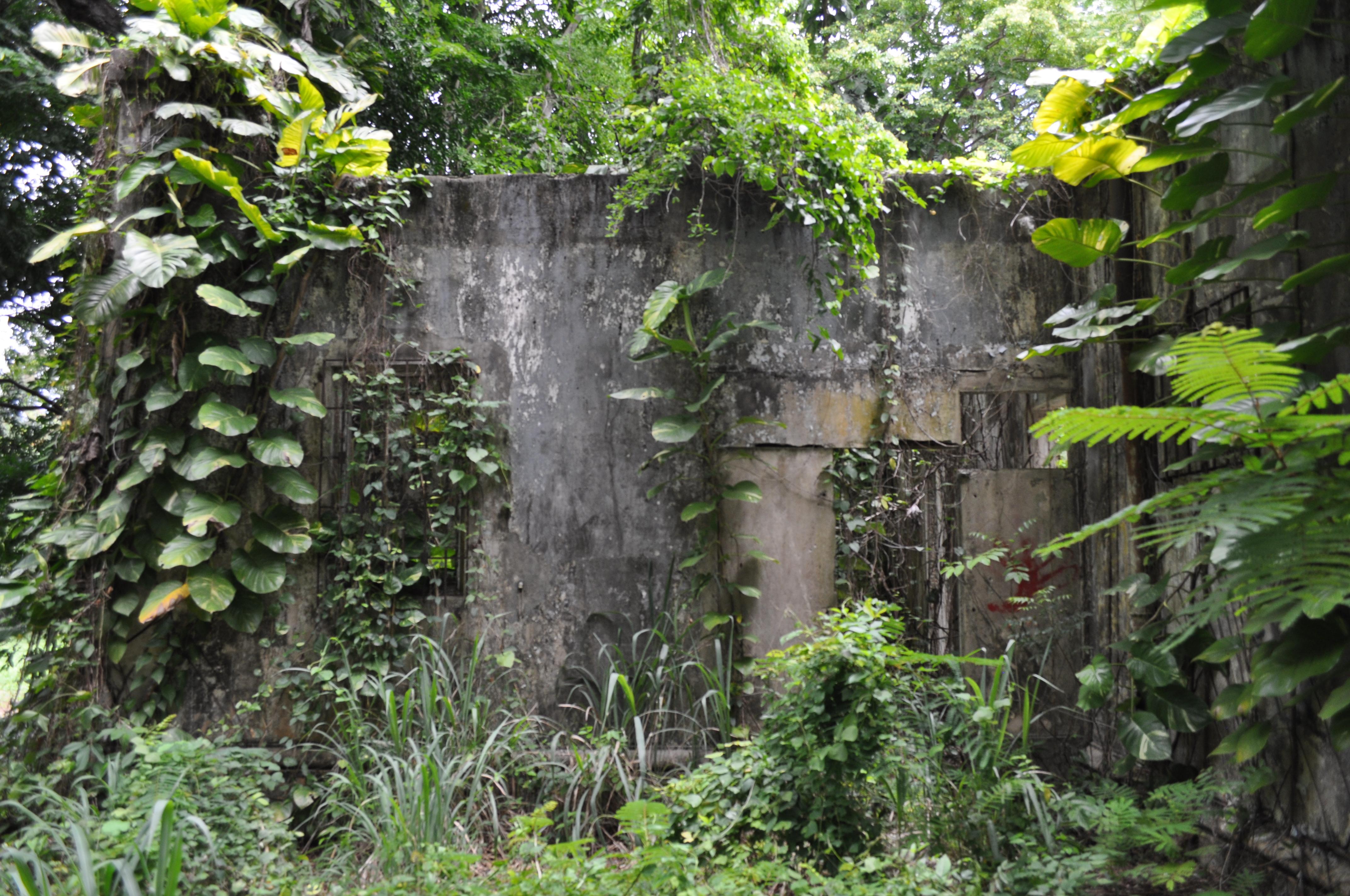 Antigua Lechería y Residencia de la Facultad de la Universidad de Puerto Rico - San Juan (Río Piedras) - 2014 00041